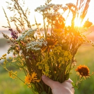 RUGPJŪČIO 15  NEDIRBSIME