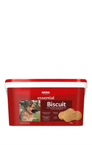 BISCUIT